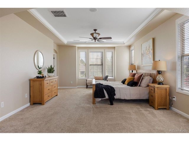 6299 Ellingwood Point Pl, Castle Rock, CO 80108