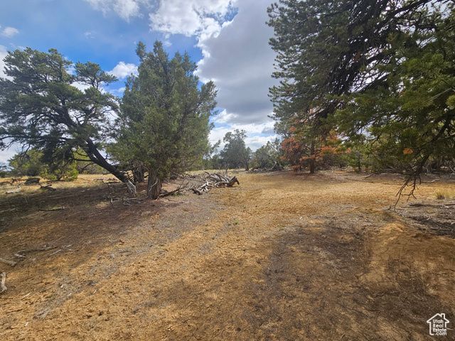 33383 W 8000 S, Duchesne, UT 84021