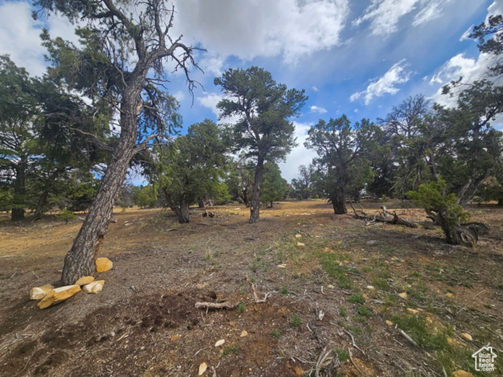 Image 58 of property listing at 33383 W 8000 S, Duchesne, UT 84021