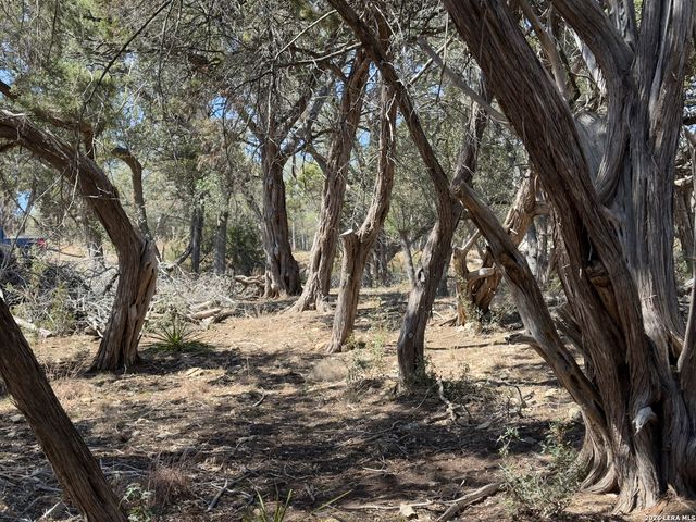 189 Campbell, Canyon Lake, TX 78133