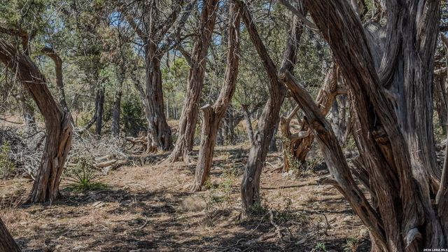 189 Campbell, Canyon Lake, TX 78133