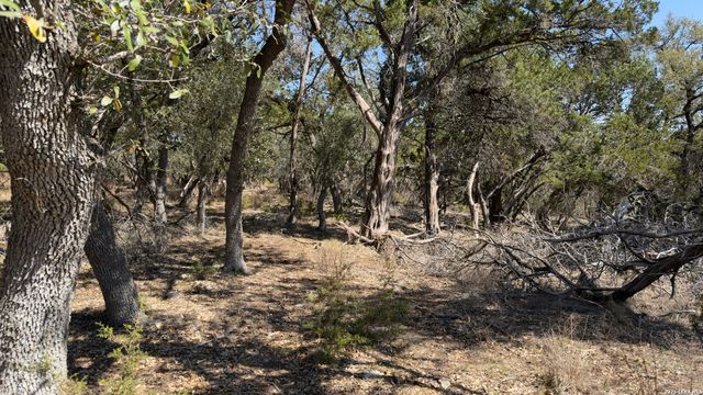 189 Campbell, Canyon Lake, TX 78133