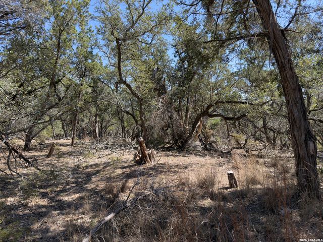 189 Campbell, Canyon Lake, TX 78133