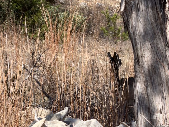 189 Campbell, Canyon Lake, TX 78133