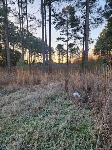 133 County Road 5003, Cleveland, TX 77327