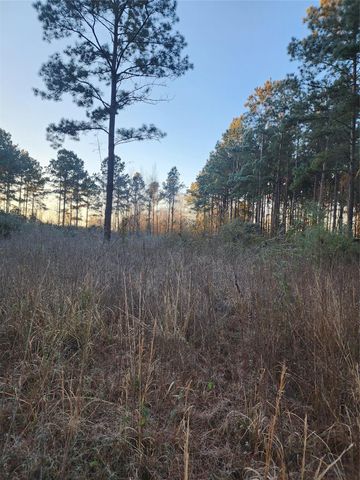 133 County Road 5003, Cleveland, TX 77327