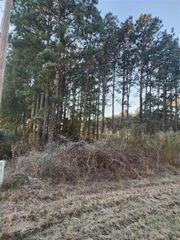 133 County Road 5003, Cleveland, TX 77327