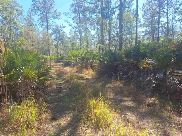 330 Damascus Road, Deland, FL 32724