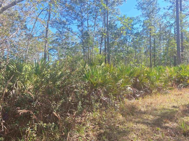 330 Damascus Road, Deland, FL 32724