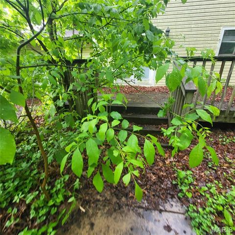 7209 Woodland Meadow Drive, Poplar Bluff, MO 63901