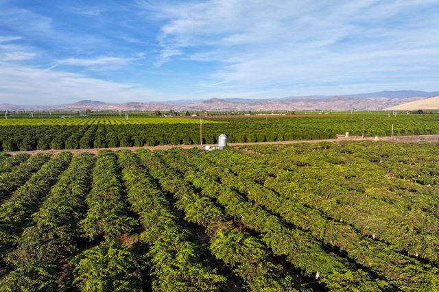 Rd. 136, Cutler, CA 93615