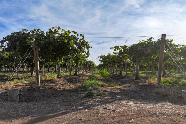 Rd. 136, Cutler, CA 93615