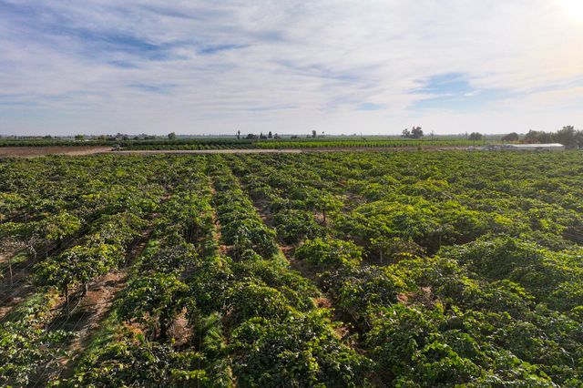 Rd. 136, Cutler, CA 93615