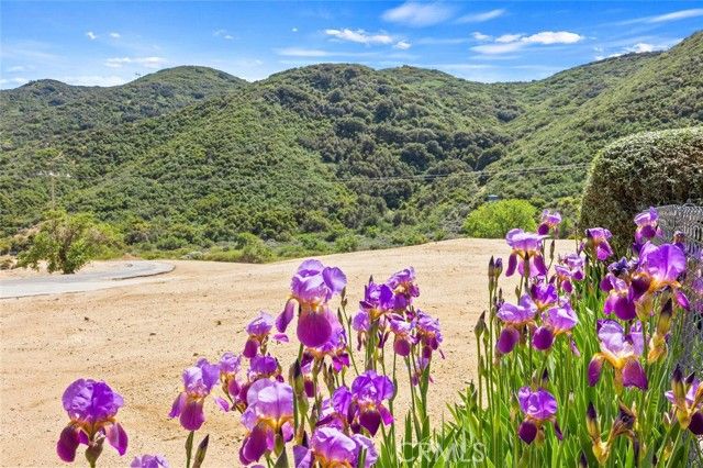 11551 Lonesome Valley, Leona Valley, CA 93551