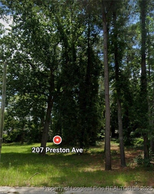 207 Preston Avenue, Fayetteville, NC 28301