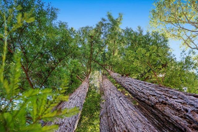 470 Tabor Drive, Scotts Valley, CA 95066