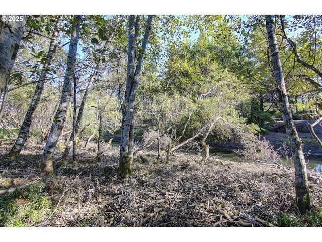 29908 H ST, Ocean Park, WA 98640