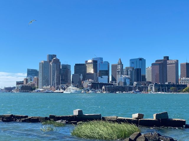 65 Lewis St PH602, Boston, MA 02128