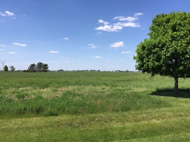 17402 Wildflower Circle, Union, IL 60180