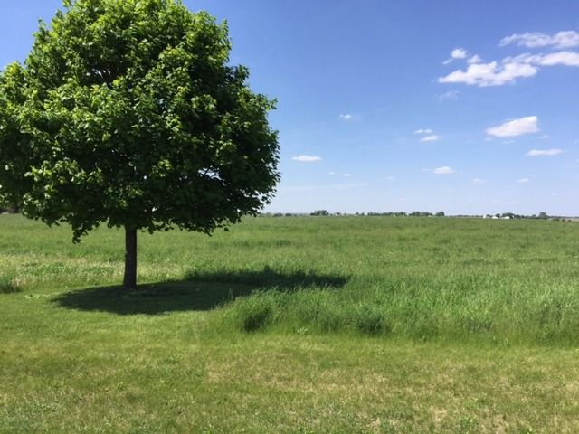 17402 Wildflower Circle, Union, IL 60180