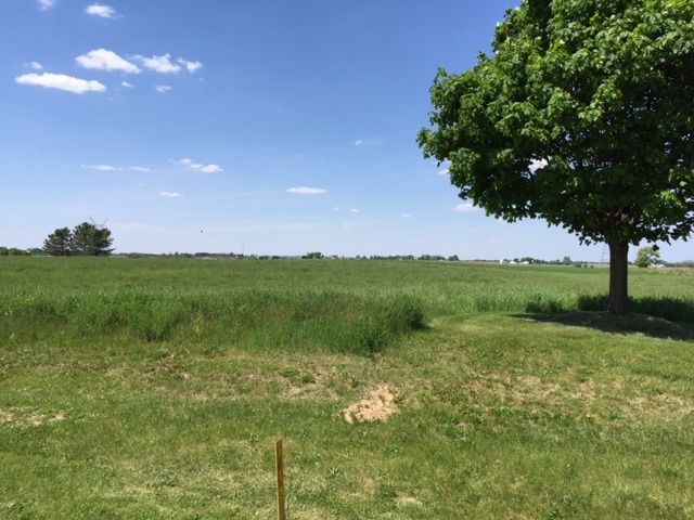 17402 Wildflower Circle, Union, IL 60180