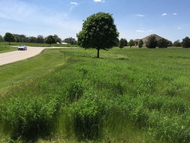 17402 Wildflower Circle, Union, IL 60180