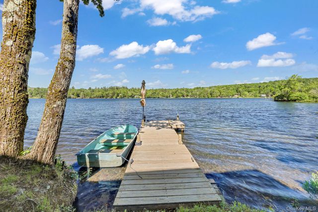 110 Park Drive, Parksville, NY 12768