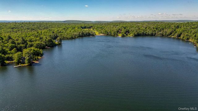 110 Park Drive, Parksville, NY 12768