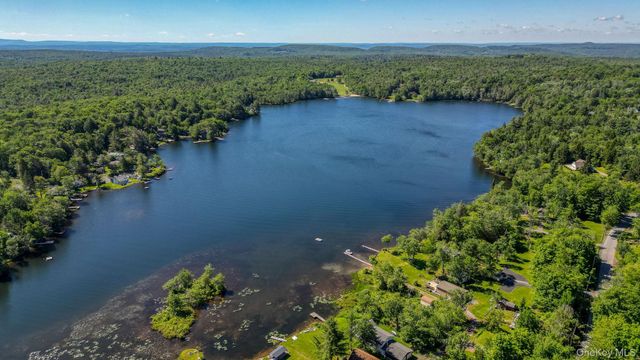110 Park Drive, Parksville, NY 12768