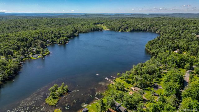 110 Park Drive, Parksville, NY 12768