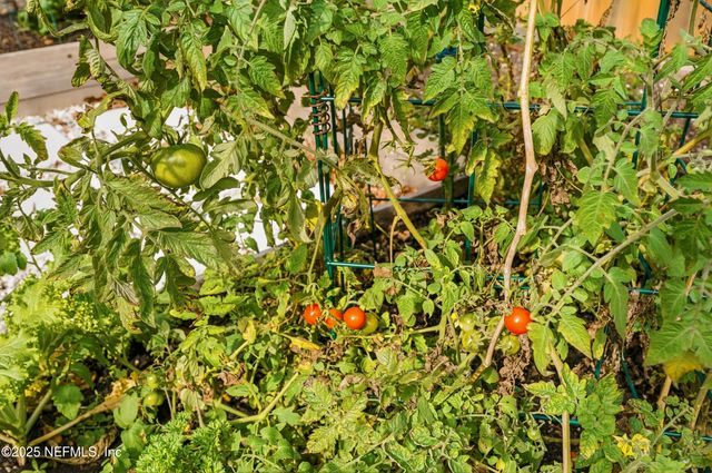 1642 LEEWARD Lane, Neptune Beach, FL 32266