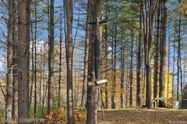 4058 LAKE RIDGE Court, Hadley Township, MI 48455