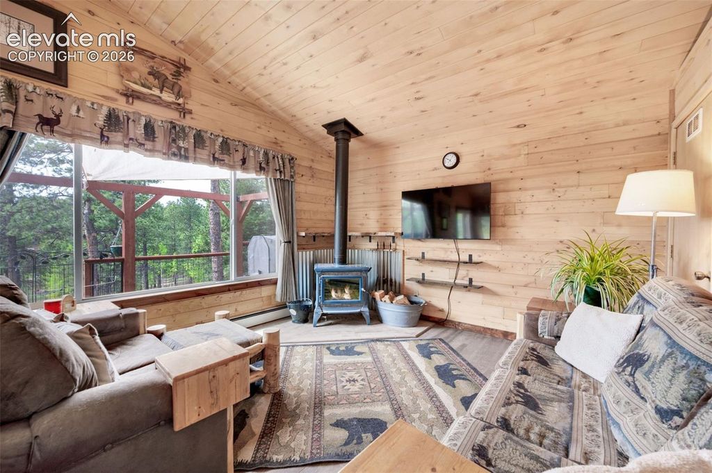 126 Aspen Circle, Divide, CO 80814 — photo 5