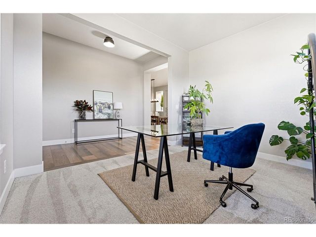 507 Leo Dr, Erie, CO 80516