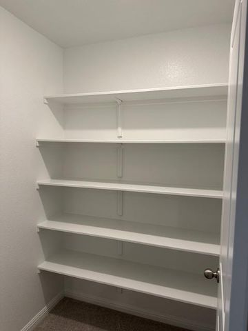 1850 Settlers Glen DR 1503, Round Rock, TX 78665