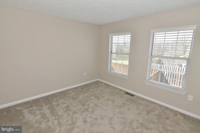311 WILLOWBROOK CT, Winchester, VA 22602