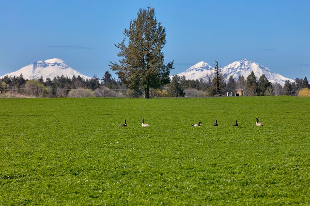 10300 NE Canyons Ranch Drive, Terrebonne, OR 97760