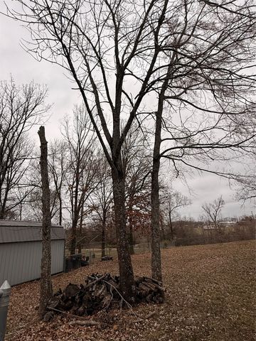 Lots 303 and 382 Broken Bow, Quitman, TX 75783