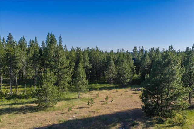 41094 N Gray Owl Ln, Deer Park, WA 99006