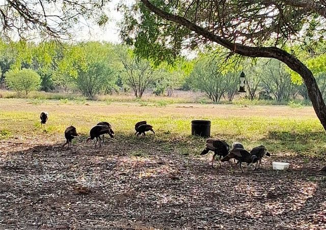 202 Ranch Road, Mathis, TX 78368