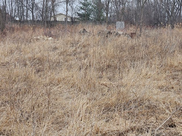 4300 DAVIS Street, Matteson, IL 60443