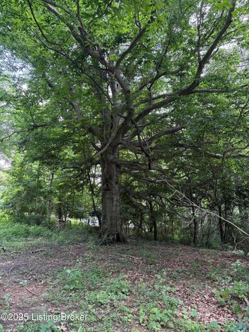 6401 New Cut Rd, Crestwood, KY 40014