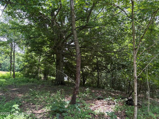 6401 New Cut Rd, Crestwood, KY 40014