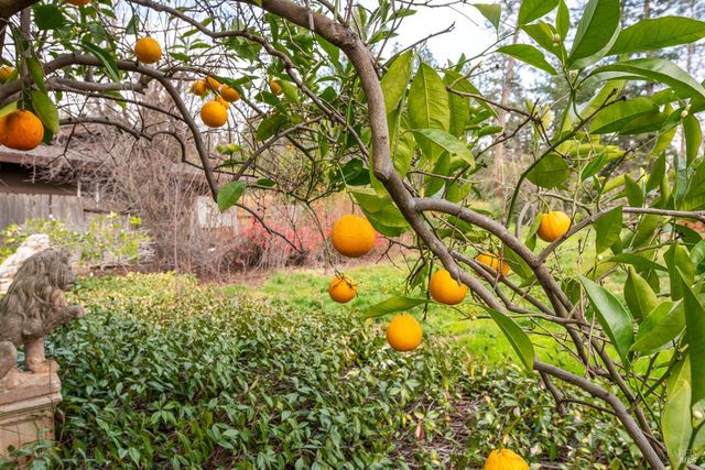 506 La Tierra Dr, Angwin, CA 94508