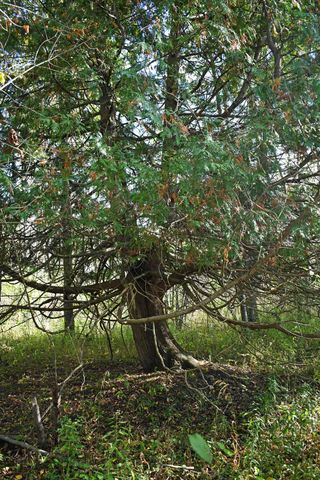 2275 Noble Road, Tawas City, MI 48763