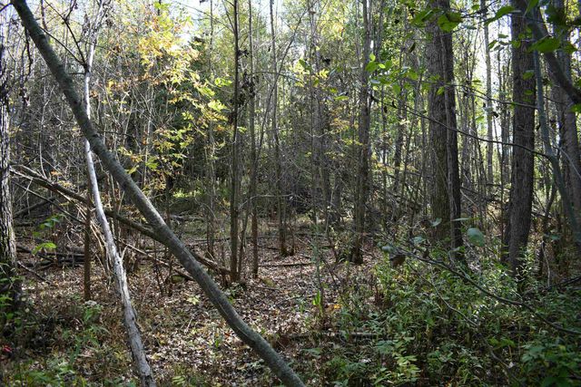 2275 Noble Road, Tawas City, MI 48763