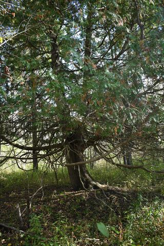 2275 Noble Road, Tawas City, MI 48763