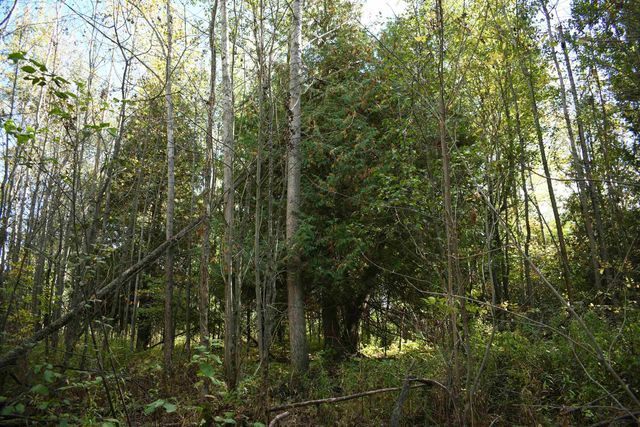 2275 Noble Road, Tawas City, MI 48763