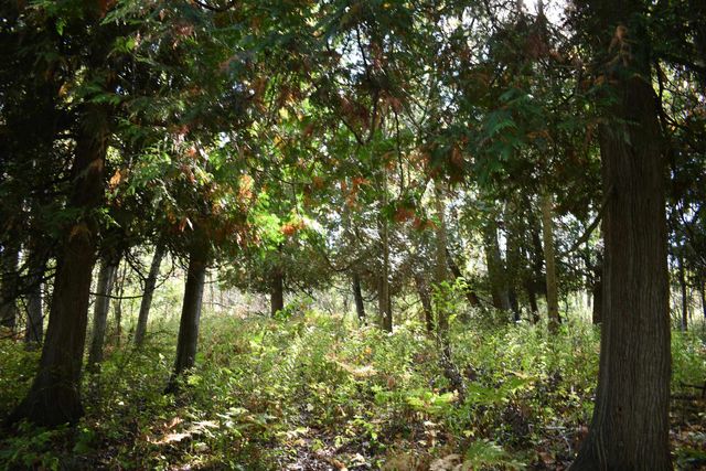 2275 Noble Road, Tawas City, MI 48763