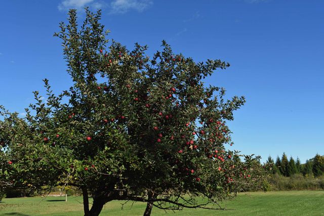 2275 Noble Road, Tawas City, MI 48763